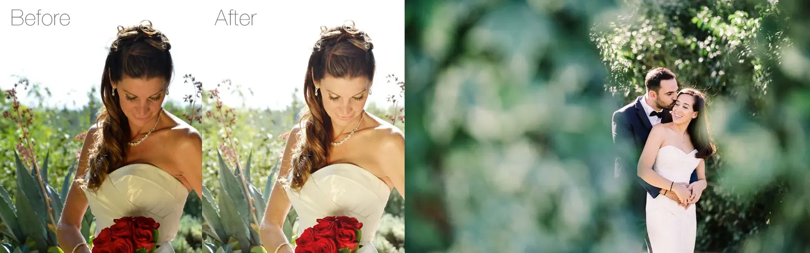 Banner Wedding Photo Edited