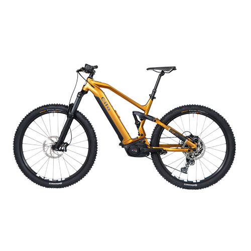 Background Removal Sample-4