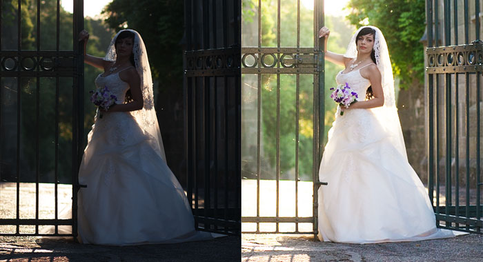 Shadow Effect Portfolio