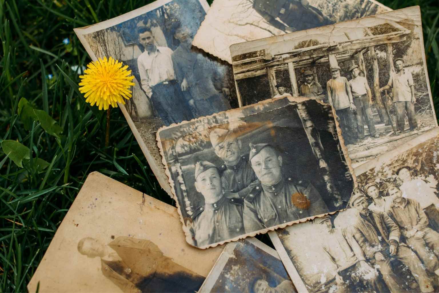 Faded Photo Restoration: How to Restore Faded Photos and Preserve Your Precious Memories
